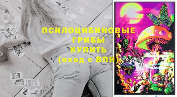 гидра Новозыбков
