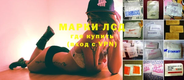 гидра Новозыбков