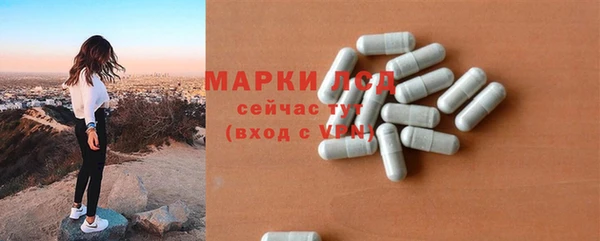 гидра Новозыбков