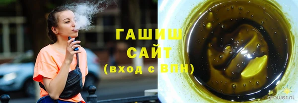 гидра Новозыбков