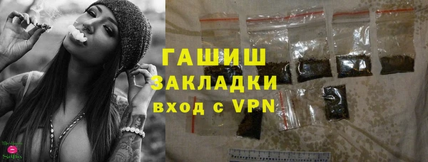 гидра Новозыбков